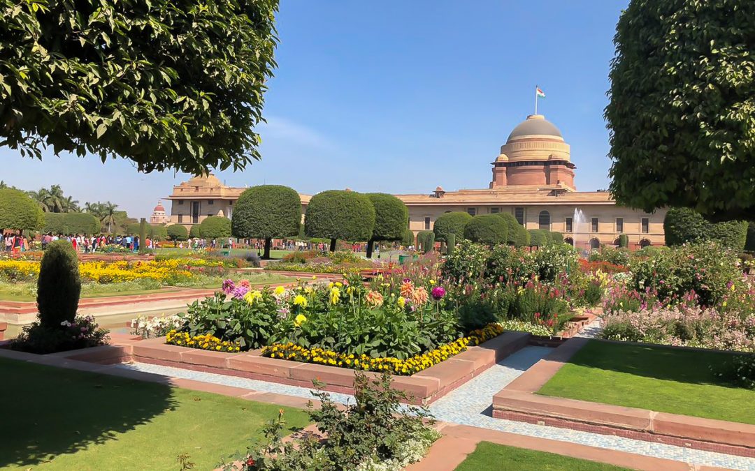 God’s own canvas – The Mughal Gardens, Rashtrapati Bhavan