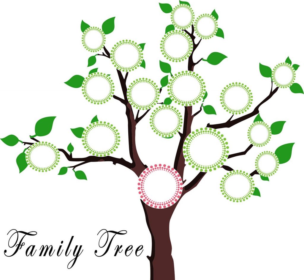 Learn about your family tree